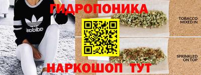 ГАЛЛЮЦИНОГЕННЫЕ ГРИБЫ Бузулук