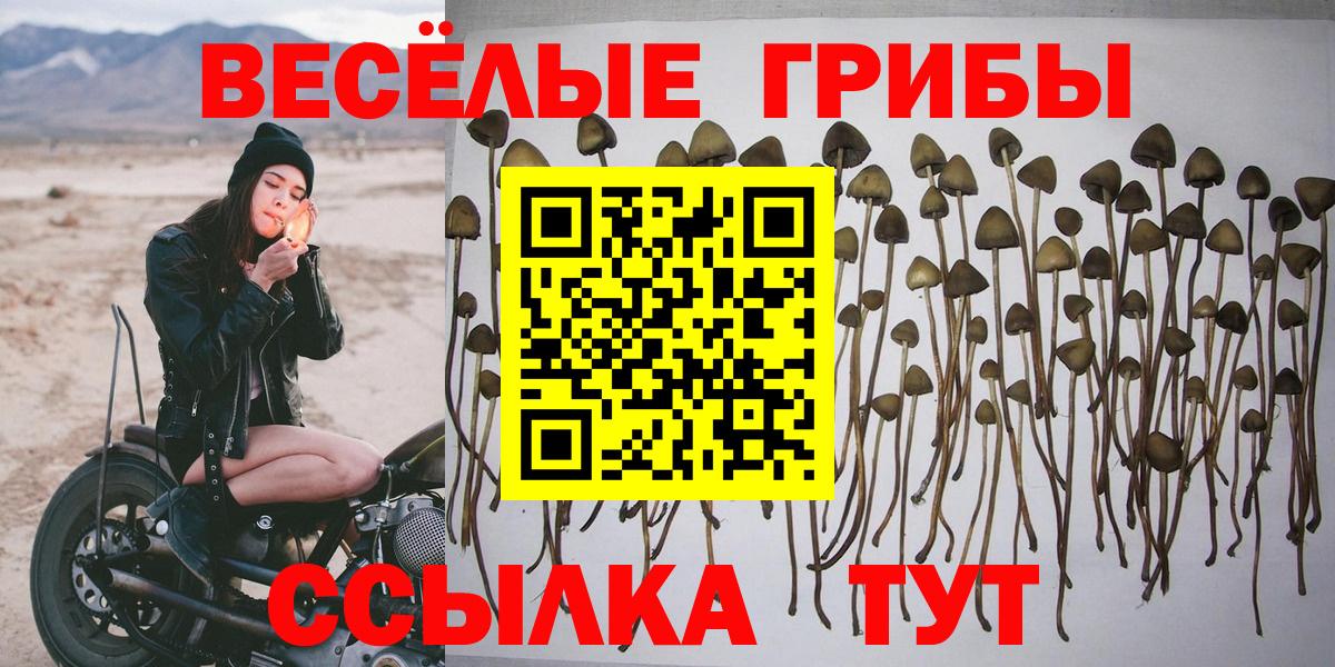 Галлюциногенные грибы мицелий  Вход с VPN  Саянск  продажа наркотиков  Галлюциногенные грибы MAGIC MUSHROOMS 