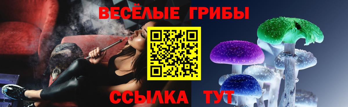 Псилоцибиновые грибы GOLDEN TEACHER Саянск