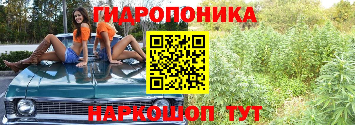 Бошки марихуана конопля  Вход с VPN  Каннабис марихуана  Саянск 